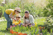 Animation Garten Bad Aachen